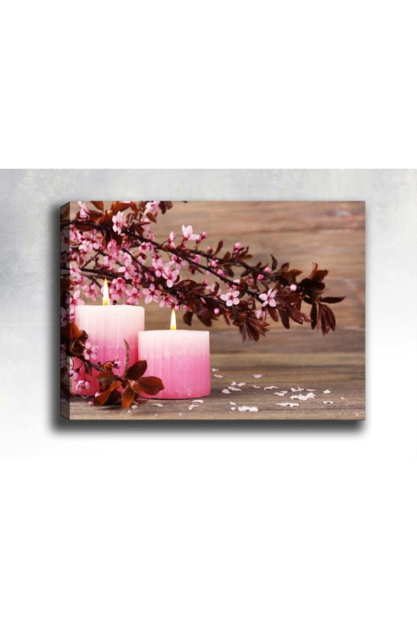 Shop365 Pembe Mum Kanvas Tablo SB-54196