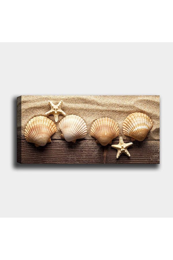 Shop365 Deniz Kabukları Kanvas Tablo SB-54277