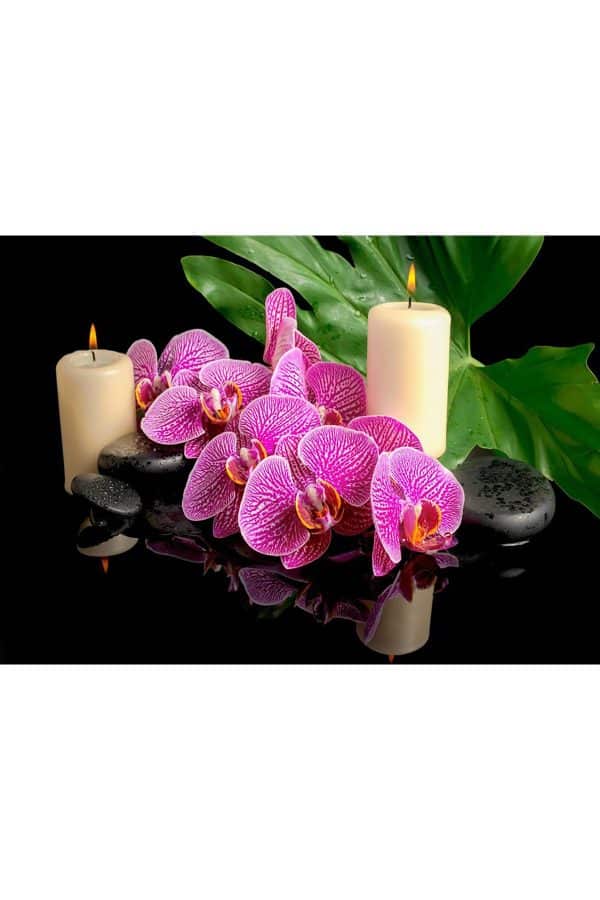 Shop365 Orkide Çiçeği Kanvas Tablo SB-30467