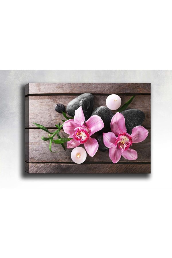 Shop365 Pembe Çiçek ve Taş Kanvas Tablo SB-35313
