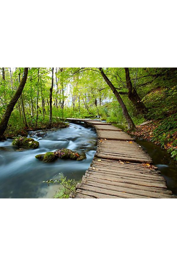 Shop365 Ahşap Yol ve Nehir Kanvas Tablo SB-35320