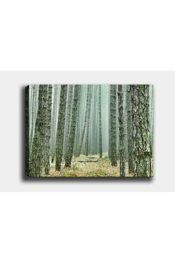 Shop365 Orman Kanvas Tablo SB-20691